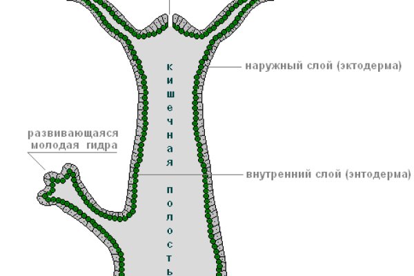 Что такое кракен маркетплейс курительный смесс