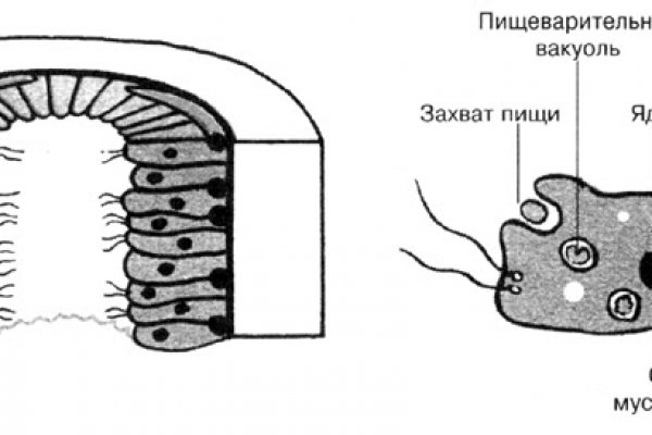 Ссылки даркнет